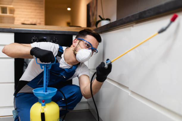 Best Best Pest Control Companies  in Grandview, IL