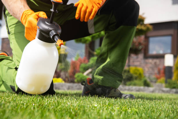 Best Wildlife Control Services  in Grandview, IL