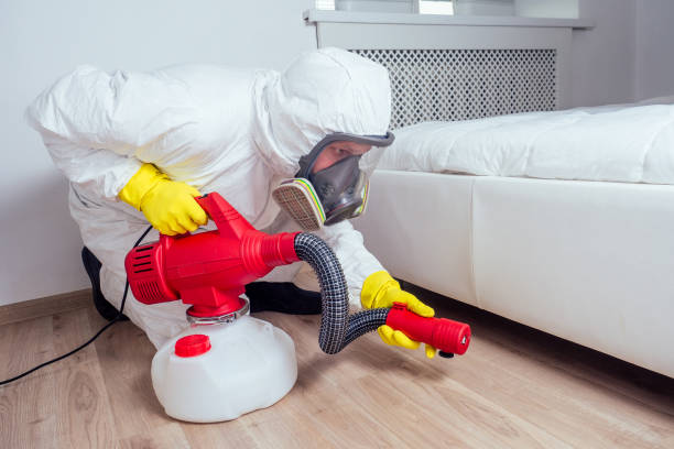 Best Flea Control Services  in Grandview, IL