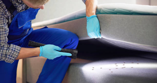  Grandview, IL Pest Control Pros