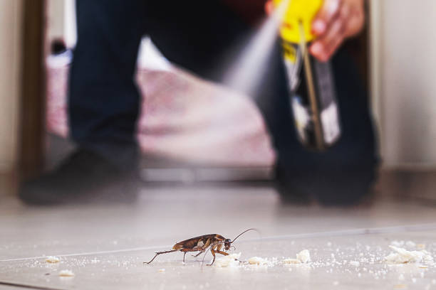 Best Commercial Pest Control Services  in Grandview, IL