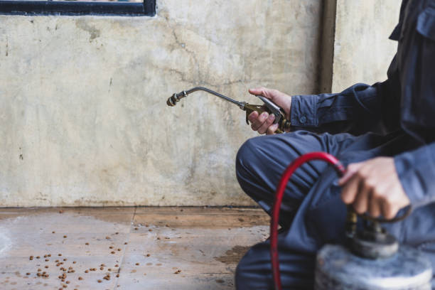 Best Mosquito Control Services  in Grandview, IL