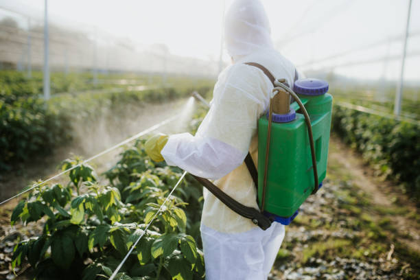 Best Local Pest Control Services  in Grandview, IL